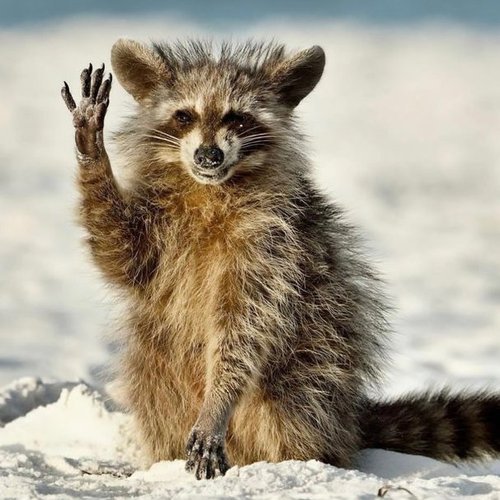 Хуршида, 9 января 2026