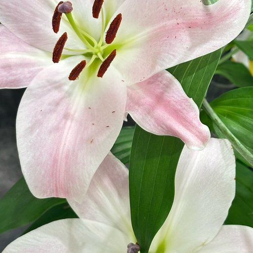 Анастасия, 28 сентября 2025