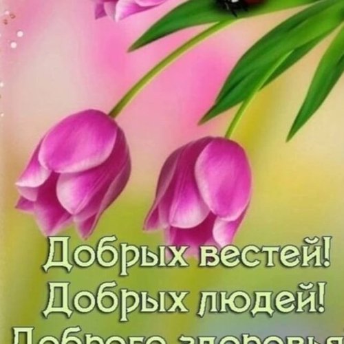 Татьяна, 26 октября 2024