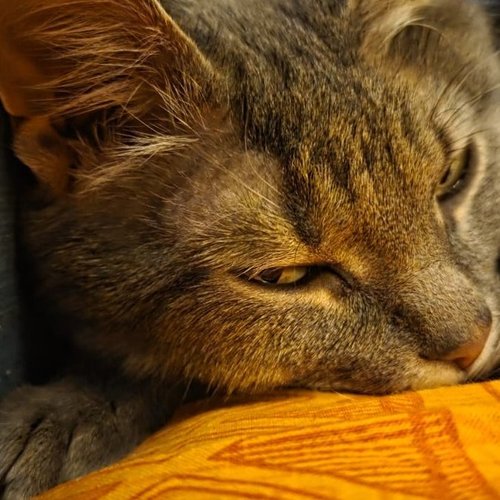 Марина, 20 февраля 2024