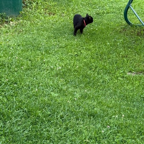 Зера, 6 ноября 2025