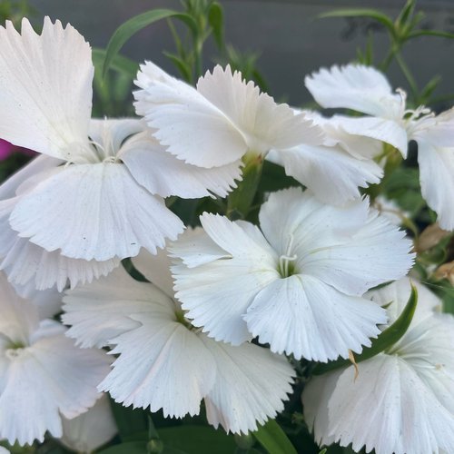 Яна, 10 октября 2025