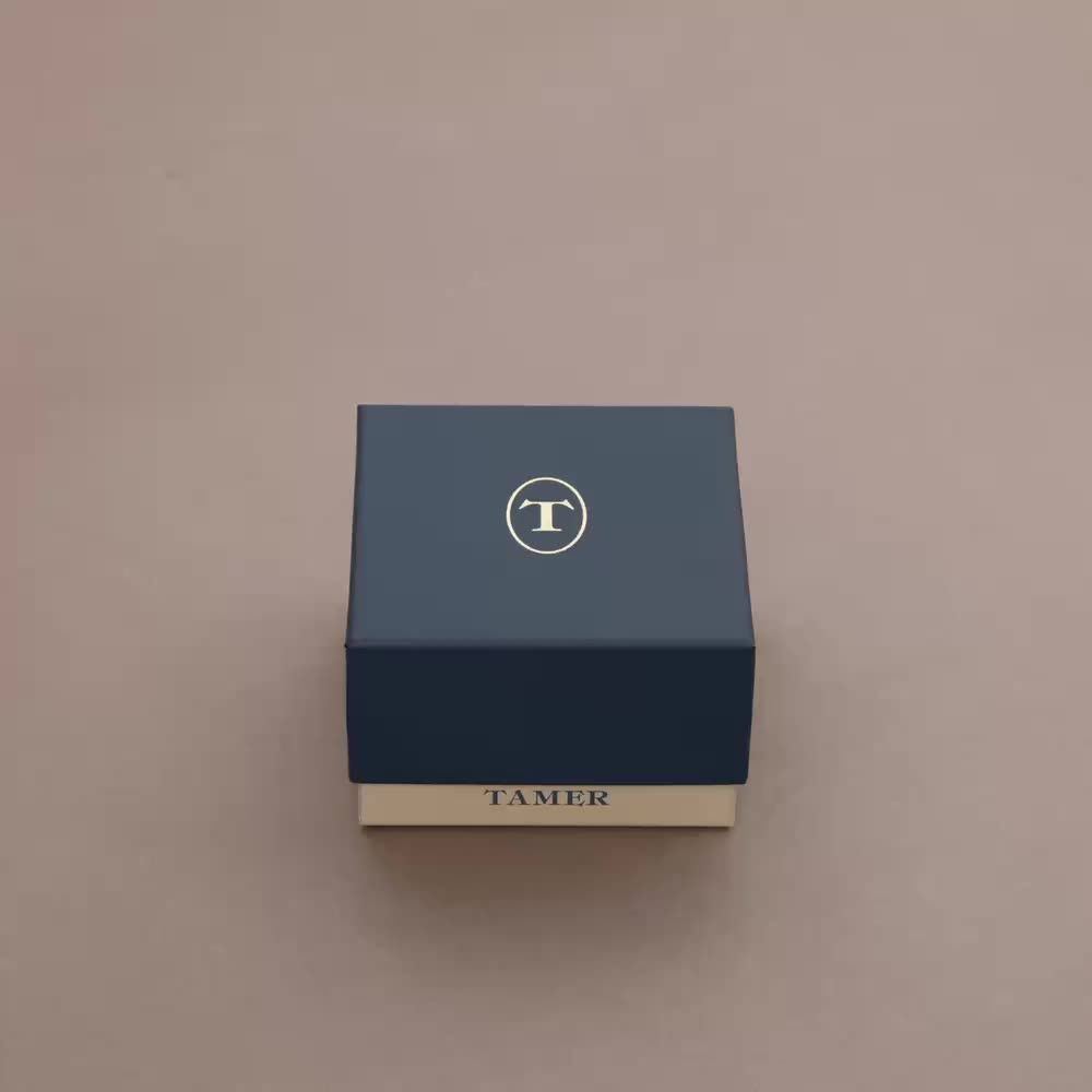 Часы мужские TAMER TAMER TC8-42-4-RRX-B2-SBS: металл — купить в
