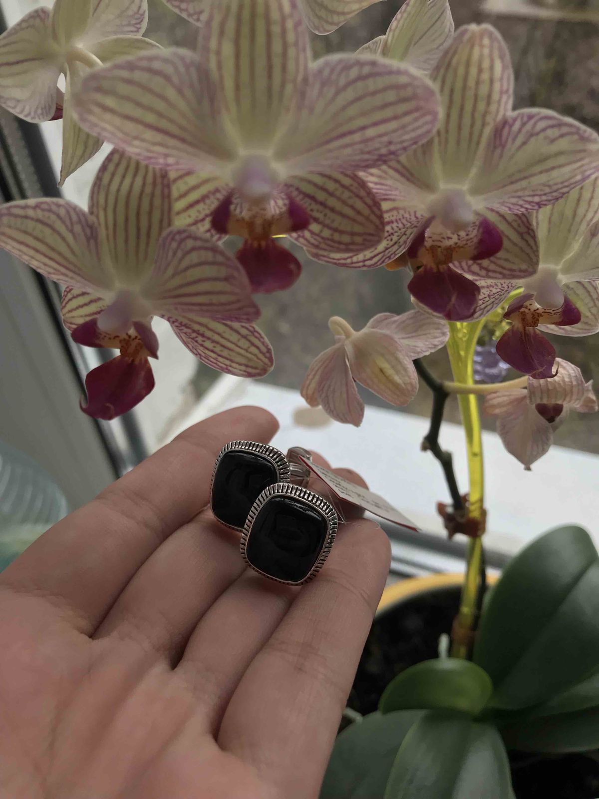 Серебряные запонки с ониксом SUNLIGHT: белое серебро 925 пробы, оникс ...